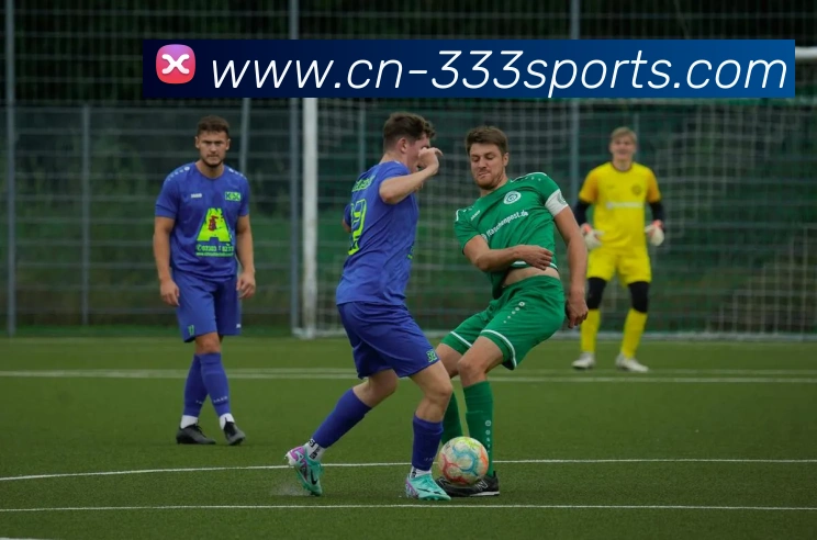 体育下注品牌故事